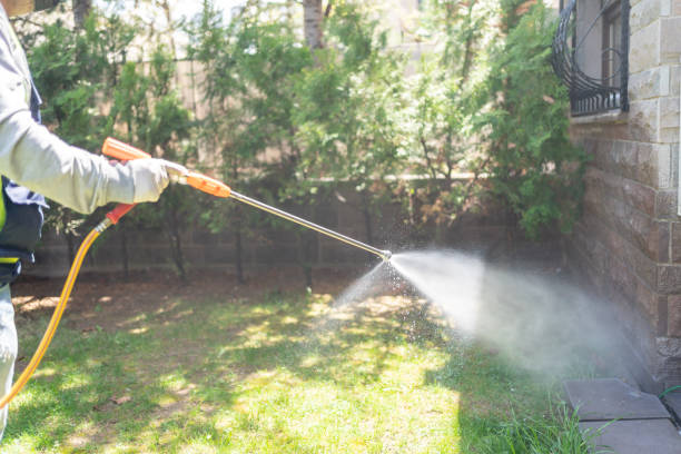 Seasonal Pest Control in Llano, TX